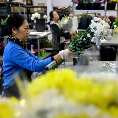 Rising costs won't stop that special bouquet for mum