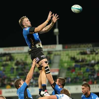 Force keen to get Izack Rodda into beast mode