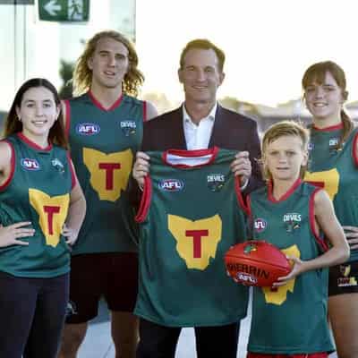 No rush to decide on further expansion: AFL boss