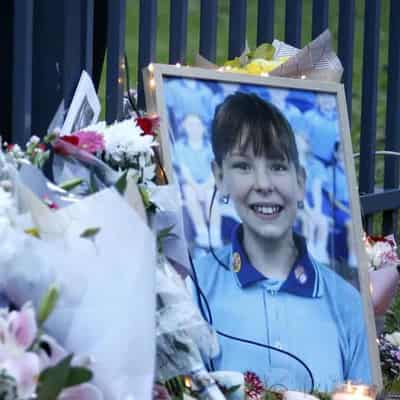 Slain schoolgirl 'really liked' her alleged murderer