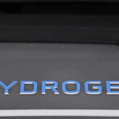 Incentives set to fuel green hydrogen growth