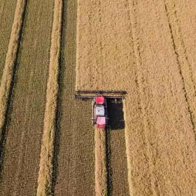 Graincorp half-year profit falls 75pc to $50 million