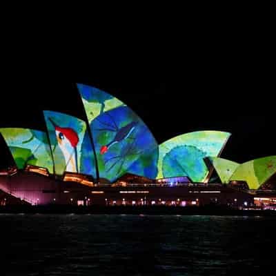 Vivid Sydney a budget option for switched-on families