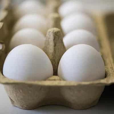 Bird flu cull leads to 450,000 fewer eggs per day