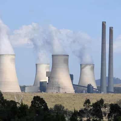 Dutton dodging nuclear policy fallout: energy minister