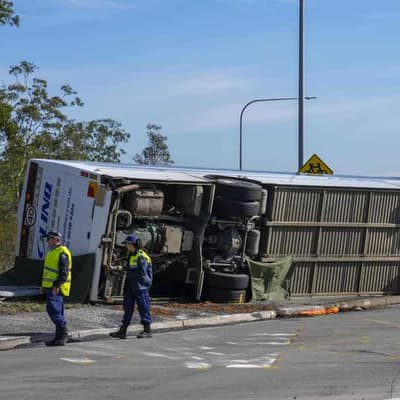 No review of bus-driver plea deal for 'abused' families