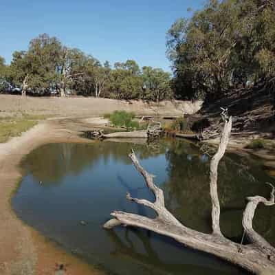 Murray Darling voices weigh-in on basin plan review