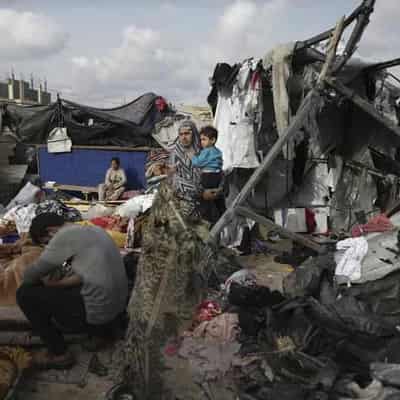 Focus on 'human catastrophe' of Gaza war, not politics