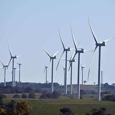 Communities divided over renewable energy development