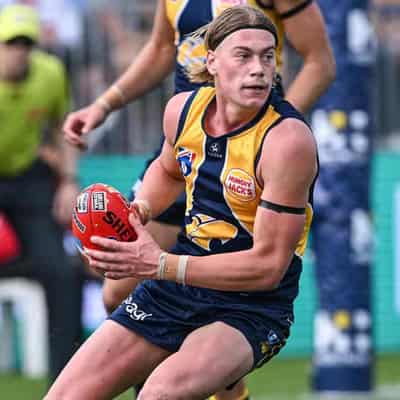 Eagles to argue length of Reid's ban at AFL tribunal