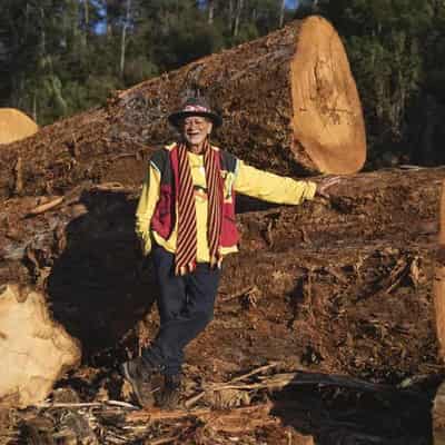 Aboriginal activist refuses to attend 'colonial' court