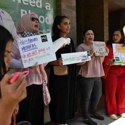 PM, Dutton condemn Greens on electorate office protests