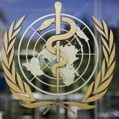 WHO confirms first fatal human case of bird flu A(H5N2)