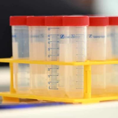 Local Sydney council probing potential cancer cluster