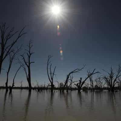 $14m Murray Darling ads under fire for Turkey image