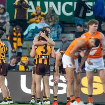 Free kick gives Hawthorn AFL thriller over Giants