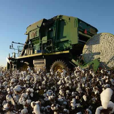 Cotton growers unpick ways to improve soil health