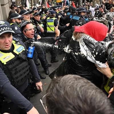 Hostile group pelt police as Palestine rally turns ugly