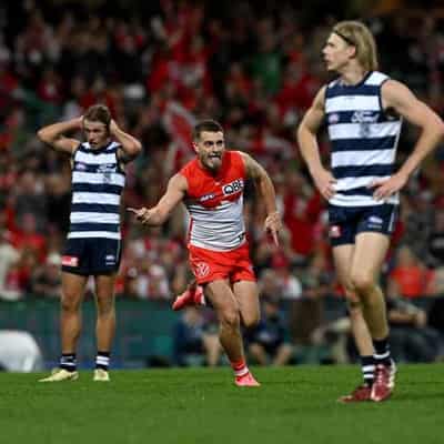 Scott insists fading Cats can rebound from Swans loss