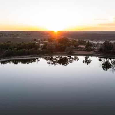 Tree changers expecting too much from life in the bush