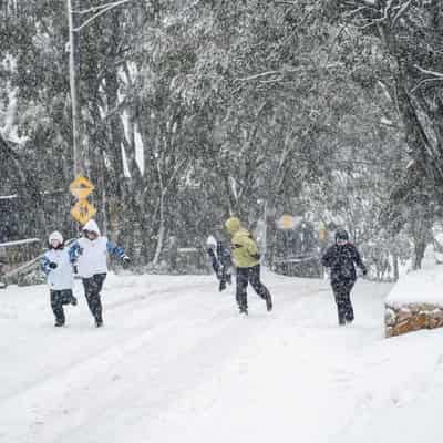 Snow dusts Victorian alps after dry start to ski season