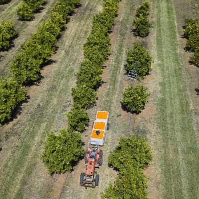 Dry weather in some states dampens farmer confidence
