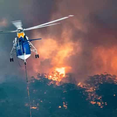 Ice cores point to grim picture of future bushfire risk