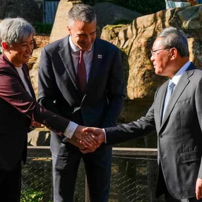 China pledges new pandas, Wong vows firm stance on ties