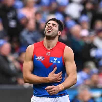 Like a car crash: Petracca opens up on horror injuries