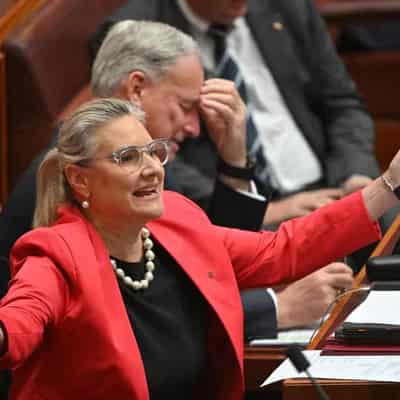 Menopause leave bad for women at work: Liberal senator