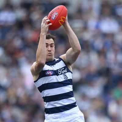 Cats star Cameron has Carlton coach on high alert