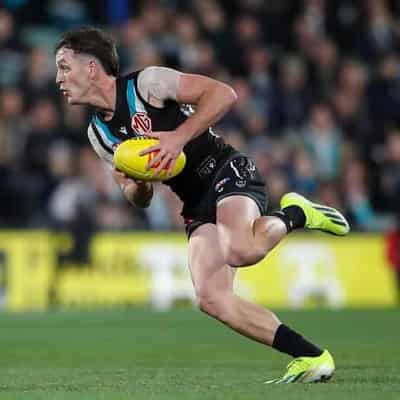 Port's Butters must learn to cope with tags: Hinkley