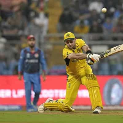 Glenn Maxwell's knock still causing Afghan nightmares