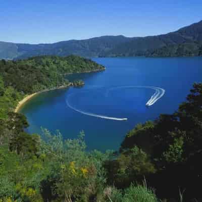 New Zealand ferry refloated after it ran aground