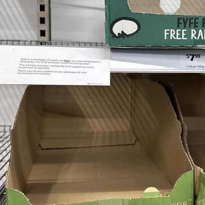 Shoppers urged not to scramble with egg-supply shortage