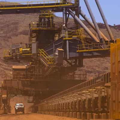 Environmental concerns at Fortescue's embattled WA mine