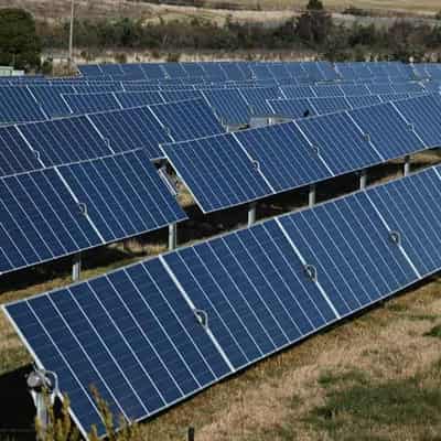 Google and CSIRO team up to solve solar surplus problem