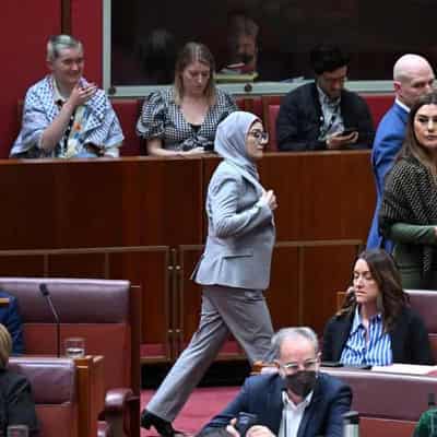 Labor senator crosses floor for Palestine, risks exile