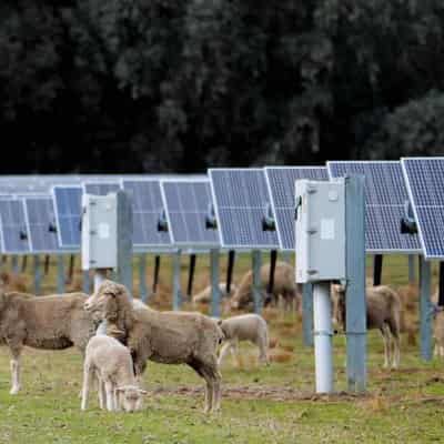 Solar panels paving the path to new recycling hub