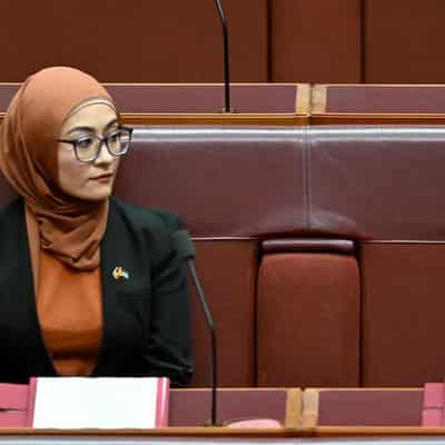 Vilification concern as senator iced for Palestine vote