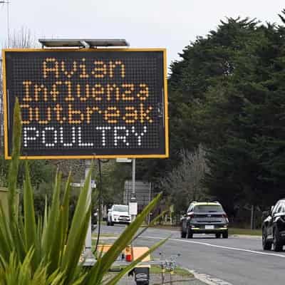 Outbreak spreads with bird flu confirmed at 11th farm