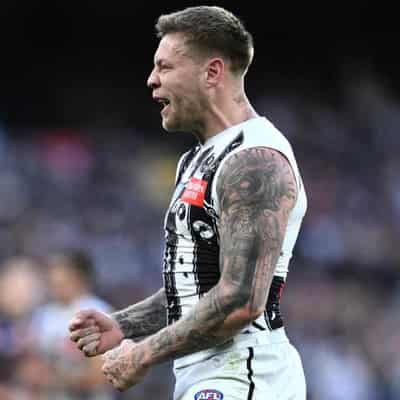 Magpies set to take flight with flag stars returning