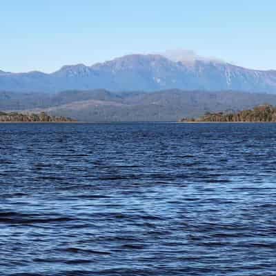 Salmon farming harbour data 'not as rosy' as claimed