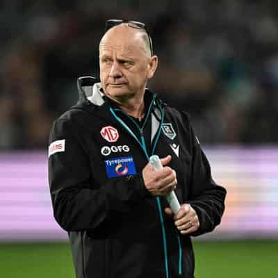 St Kilda coach sympathises with Port counterpart