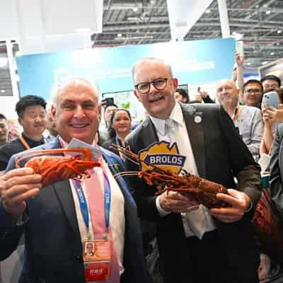 End to China's Australian rock lobster ban 'very near'