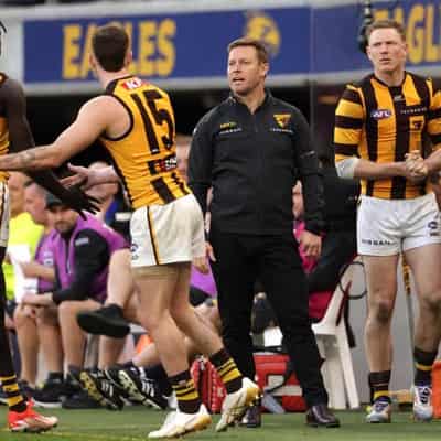 Hot Hawks still have work to do: coach Mitchell