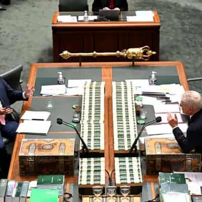 Labor, coalition primary vote support slips: Newspoll