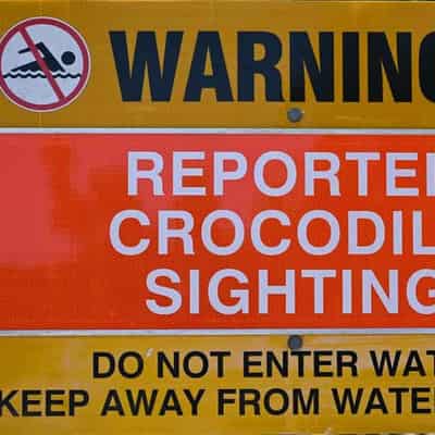 Remains found after reported croc attack on girl