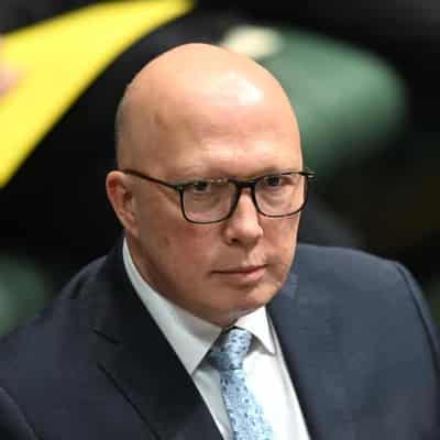 Probe of Dutton overseeing terror case document failure