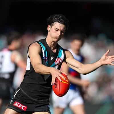 Red-hot Rozee leads Port Adelaide blitz of Bulldogs